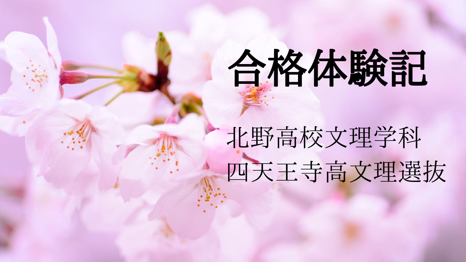 合格体験記,北野高校,大阪府立高校文理学科